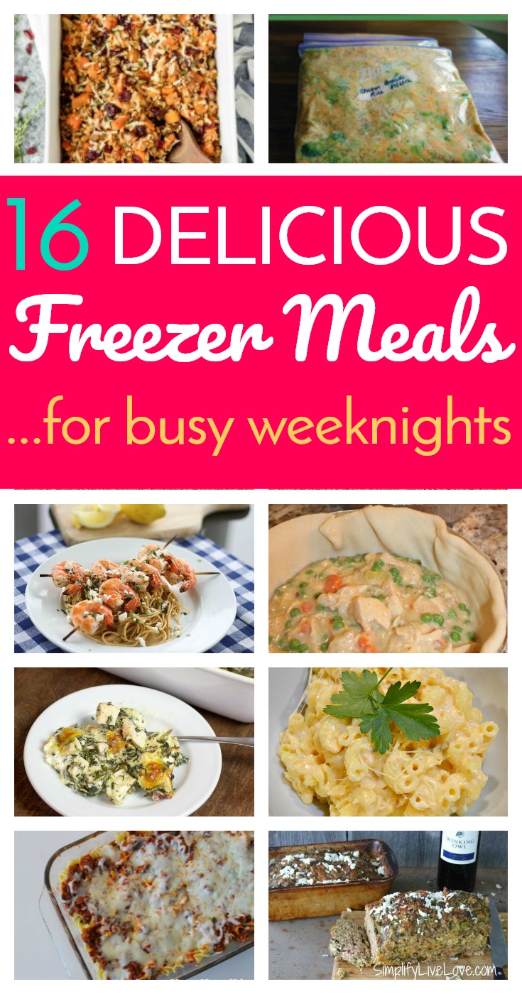 16 Delicious Freezer Meals for Busy Weeknights!