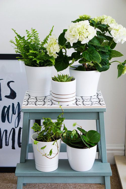 Ikea Hack - Stool to Plant Stand